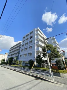 大阪府大阪市平野区加美東1【マンション】の外観