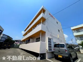 徳島県徳島市川内町北原【アパート】の外観