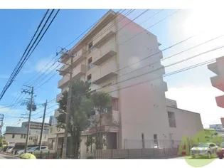 サント ネージュの画像