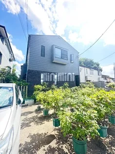 コーラルリーフの画像