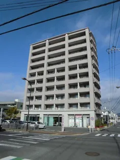 MITOMI BRILLANZの画像