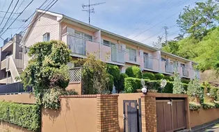 アミッドの画像