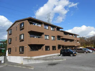 レアールソフィアの画像