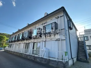 ベルデュール ド カワワの画像