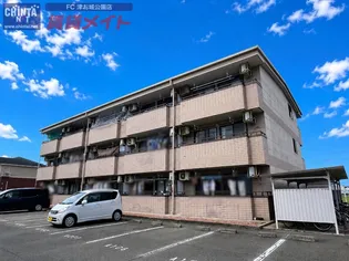 BERGEN SEAの画像