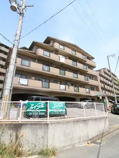 サンライズIIの画像