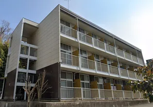 レオパレスエヴァーグリーン白幡の画像