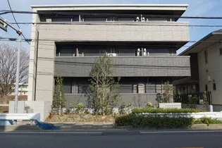 アミコート マヤの画像