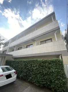 コニームーンの画像