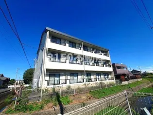 島川ハイツ【2階】の外観