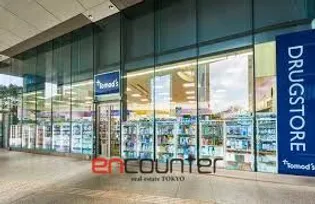 大崎ウエストシティタワーズ【7階】の周辺