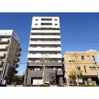 ホワイトマーベルの画像