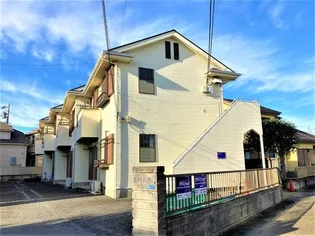 サンフラワーNの画像