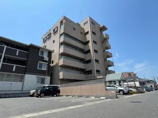 サングレースの画像