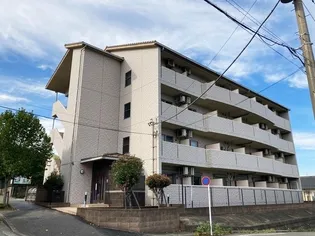 アイリスの画像