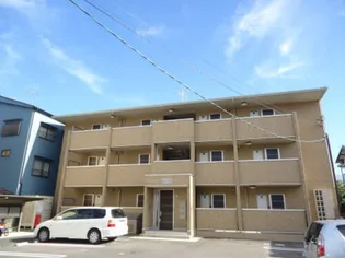 オレンジコートの画像