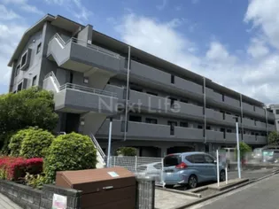 コーポラストマトの画像