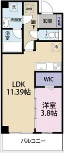 TOKUSHIMA MIDTOWER【4階】の間取り