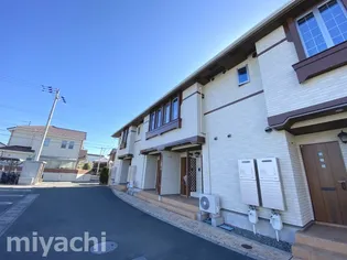 レディエンスAの画像