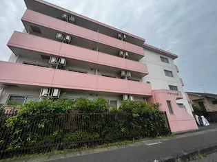 ドルチェ大磯の画像