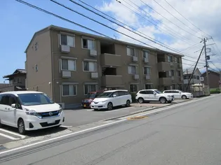 プリムローズの画像