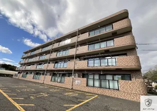 アマ デトワールの画像