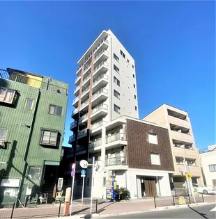 BIG FORESTの画像