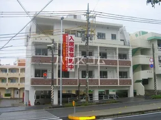 ハレカイルアの画像