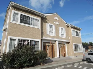 プラシードの画像