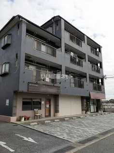 シャリオールの画像