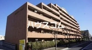 クリサンテーム妙典の画像