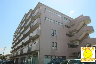 ミキハイムコクブの画像