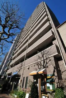 メゾン ド ヴィレ日本橋浜町の画像