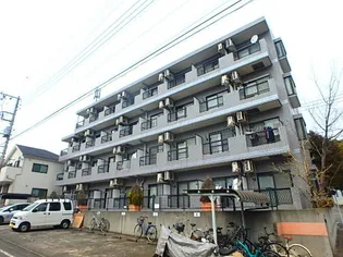 ワンダーランドBの画像