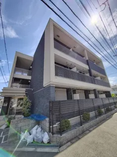 サン リーフの画像