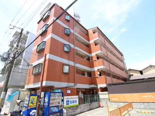 セラ歌島の画像