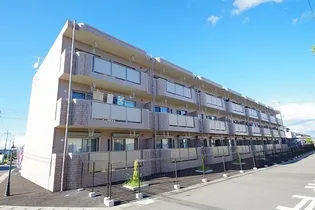 Y&Mソレイユの画像