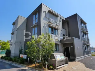 ウィーブ ヴィオラの画像