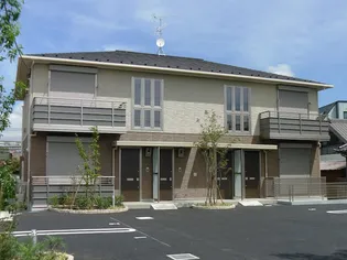 アミコートの画像