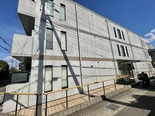 プランドールの画像