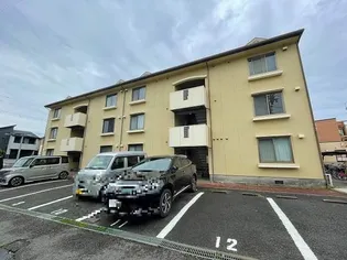 ヴァンベール91の画像