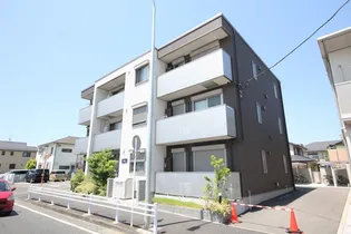 モアナの画像
