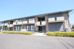 FIND BIRDIE Dの画像