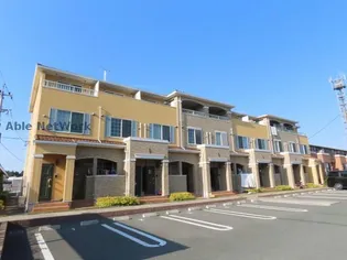 ニュー ガジュマルの画像