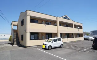 グレートピレニーズの画像