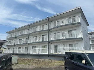 セントポーリアの画像