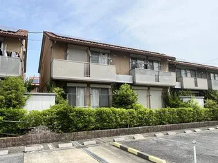 サンフラワーEの画像