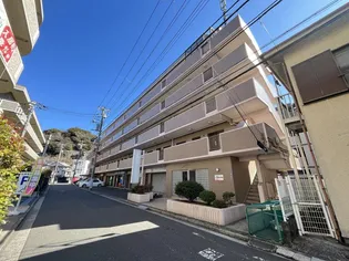 ロワイヤルパレス【3階】の外観