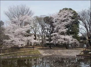 長澤荘【2階】の周辺