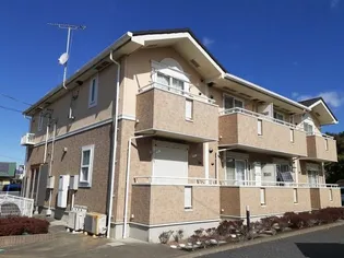 スターズの画像